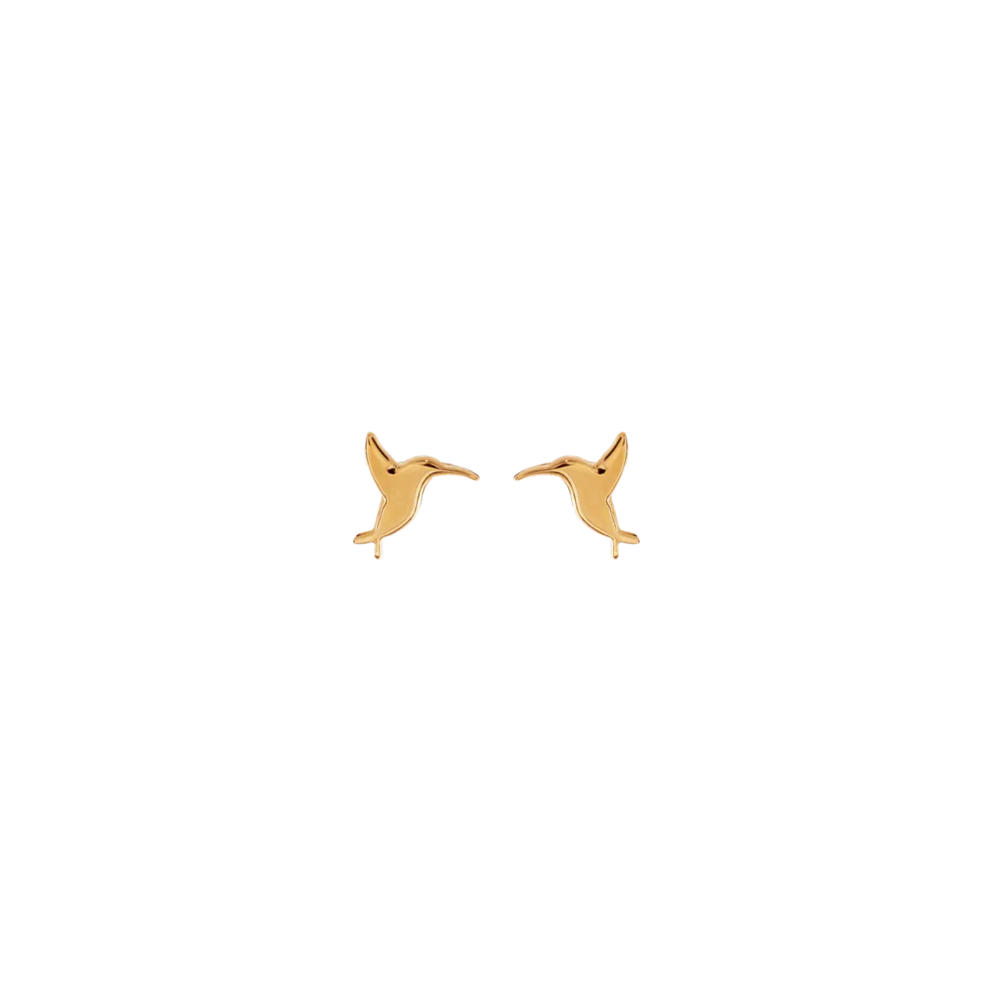 Broquel colibri