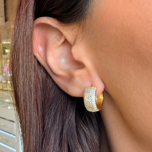 Chunky Micro Pave Round Hoops