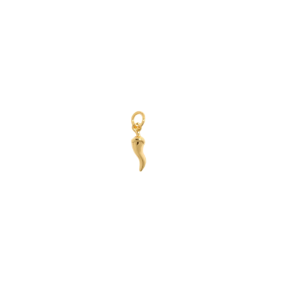 Chile charm