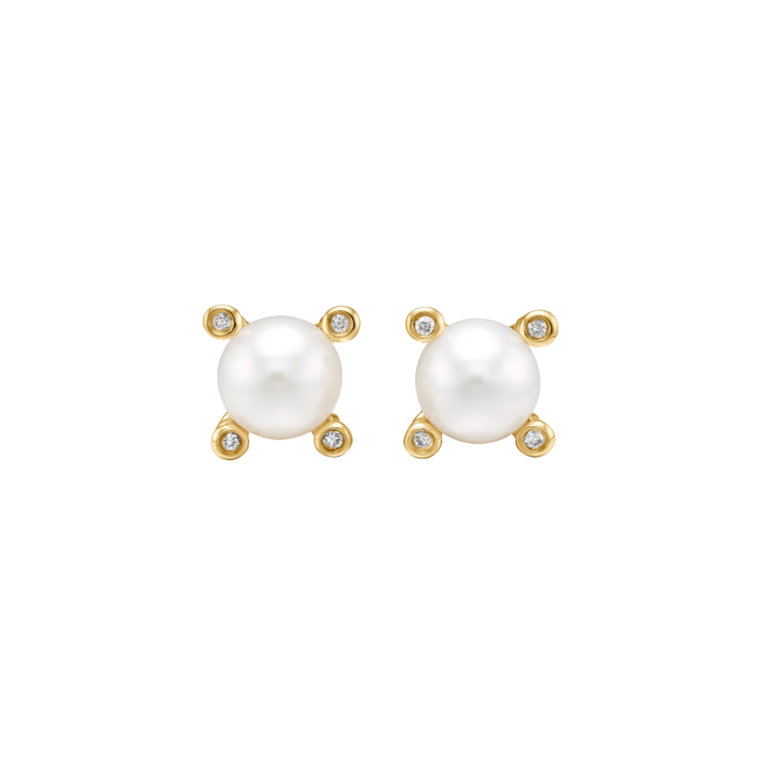David pearl golden studs