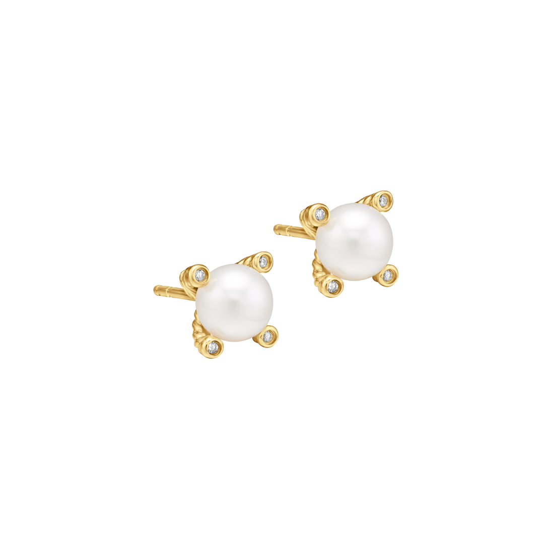 David pearl golden studs
