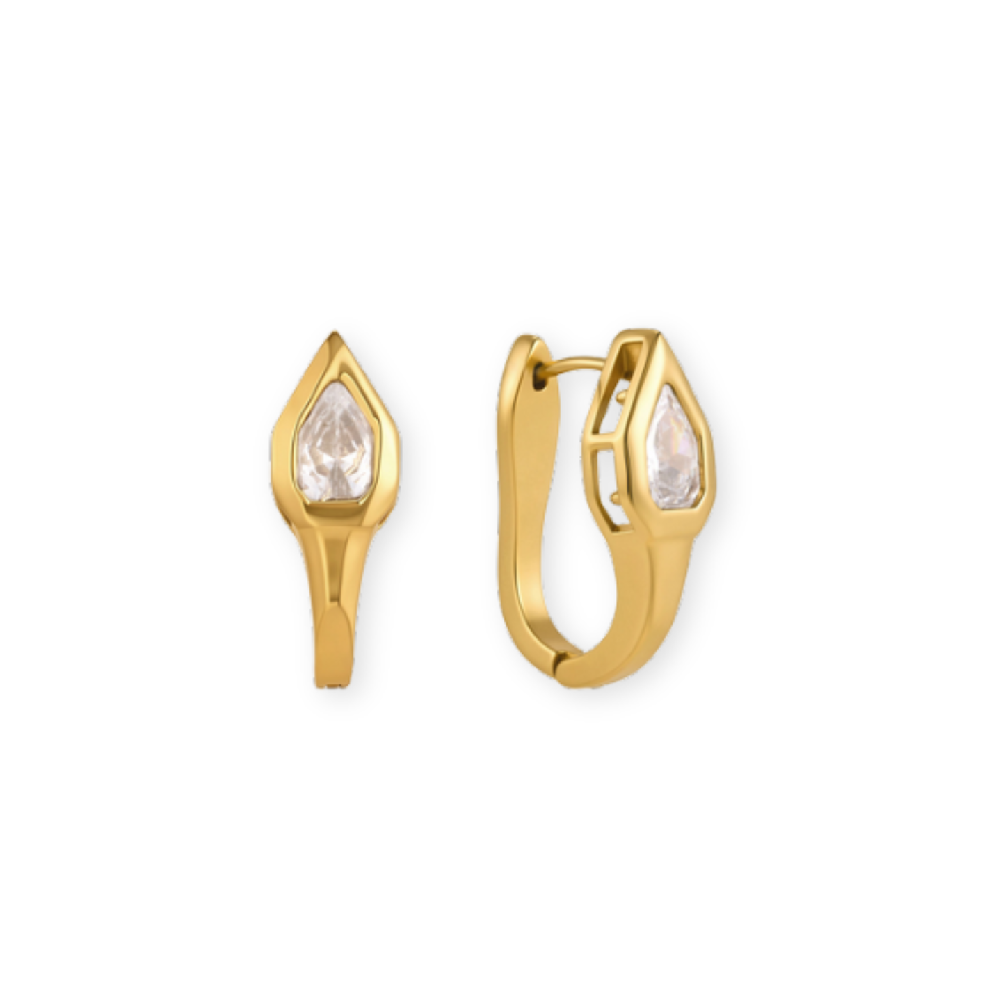 Golden Hoops Snake