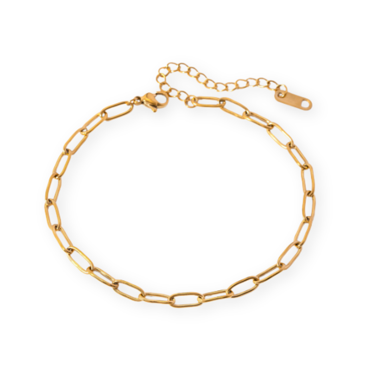 Golden Figaro Anklet