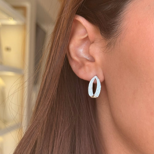 Silver Elegant Drop Earring