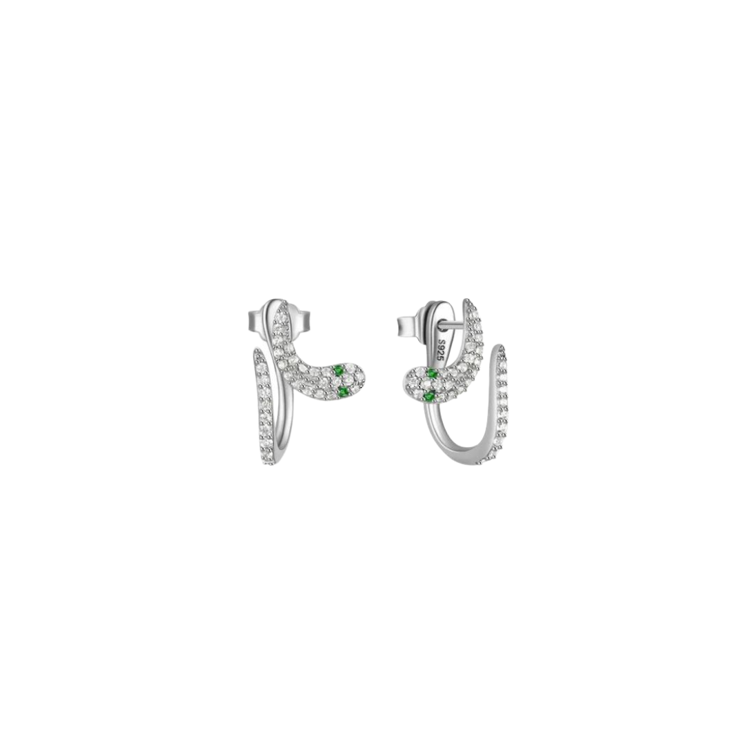 Silver snake irregular earrings