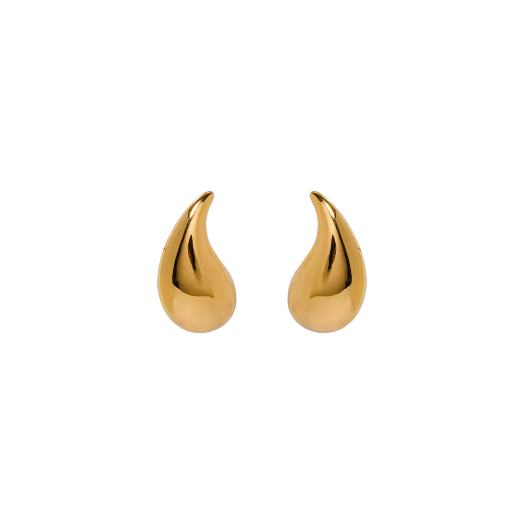 Iconic flat golden earrings