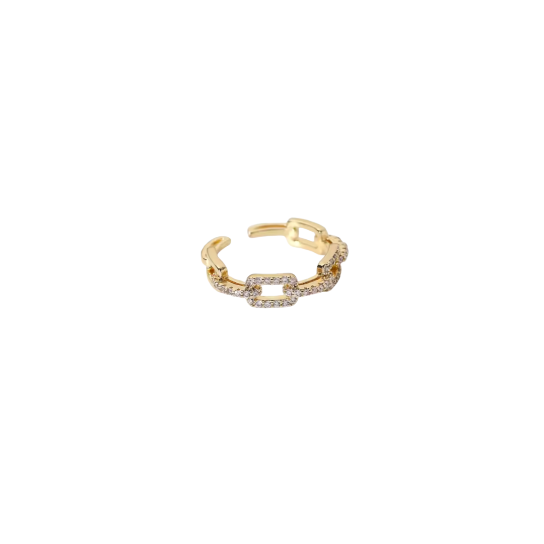Spark link chain ring
