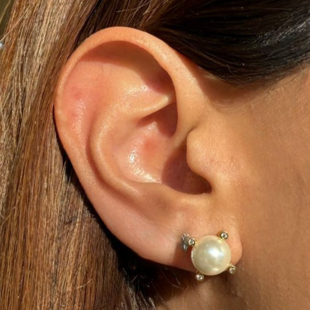 David pearl golden studs
