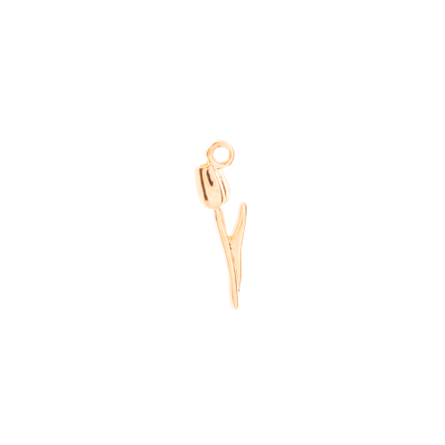 TULIP CHARM