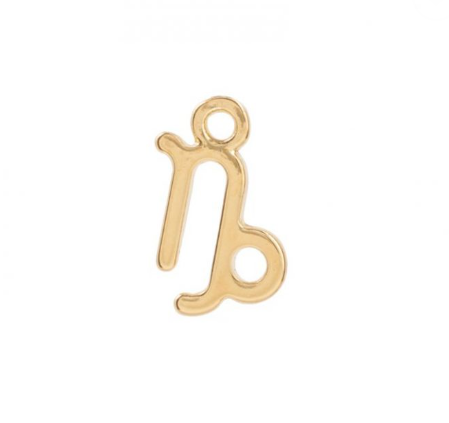 Zodiac charms