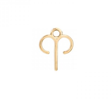 Zodiac charms