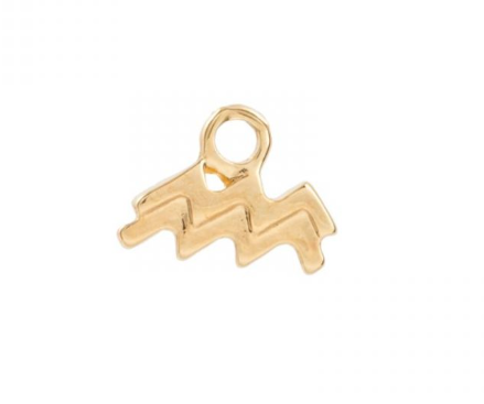 Zodiac charms