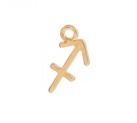 Zodiac charms