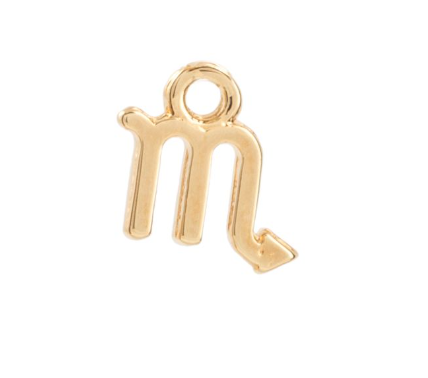Zodiac charms