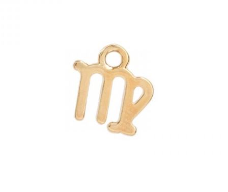 Zodiac charms