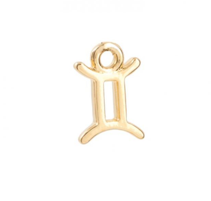 Zodiac charms