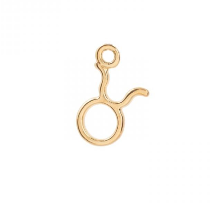 Zodiac charms