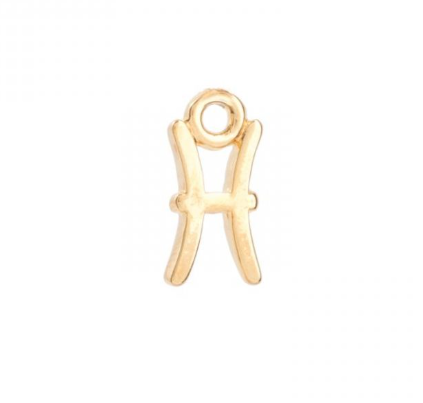 Zodiac charms