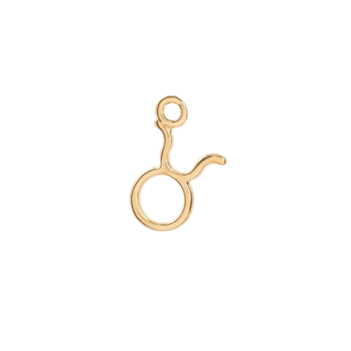 ZODIAC CHARM