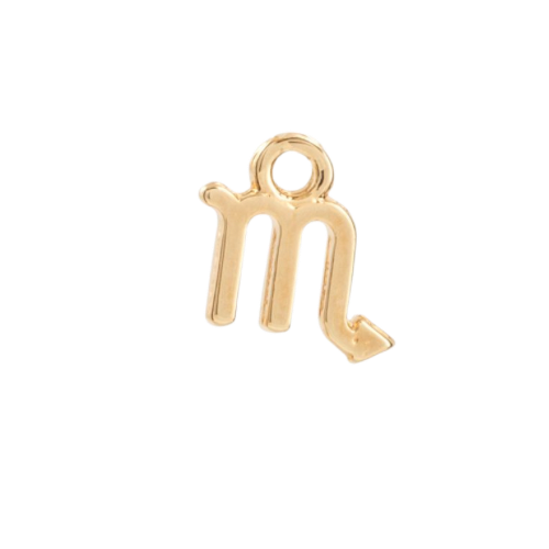ZODIAC CHARM