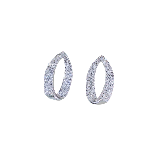 Silver Elegant Drop Earring