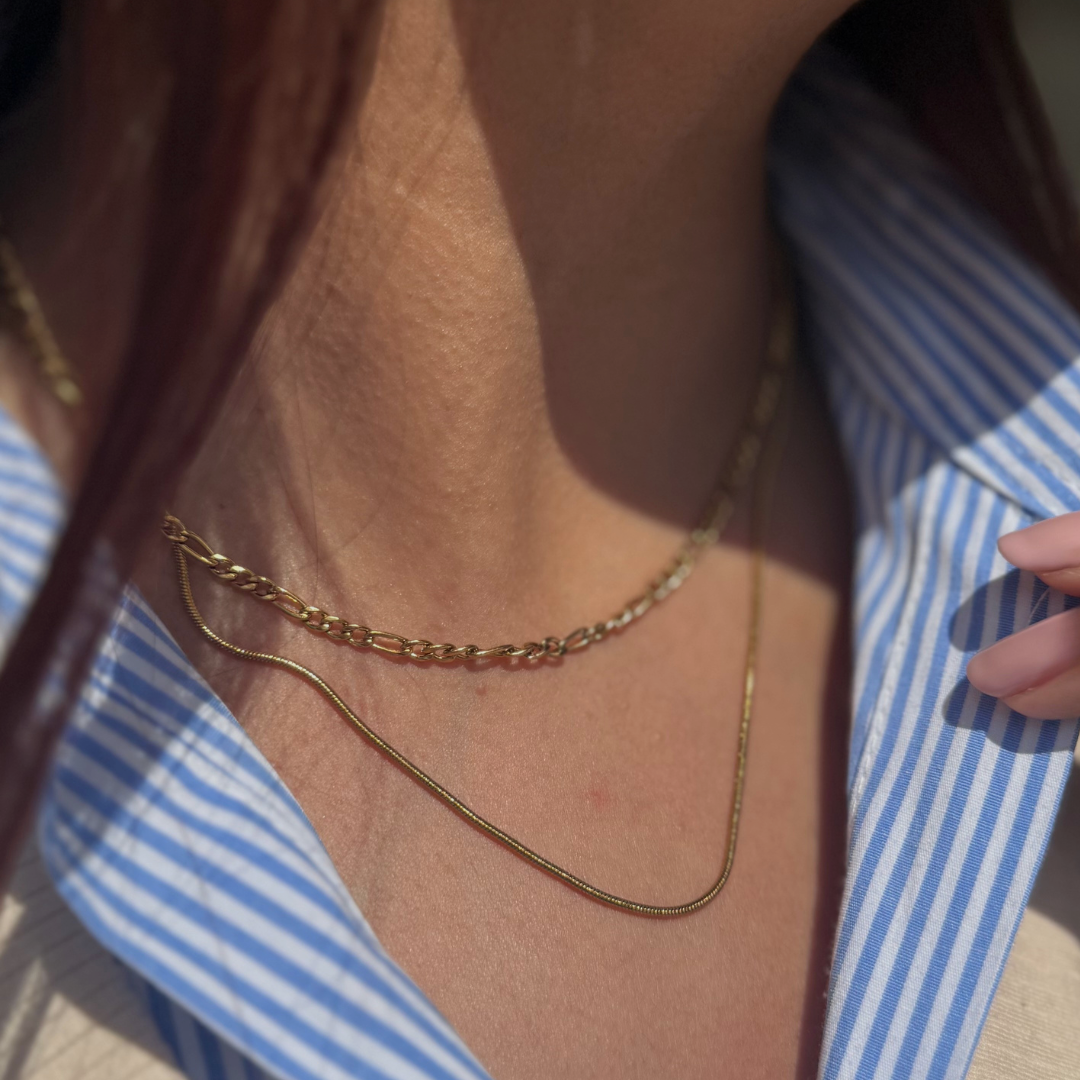 Cartier Double Layering Necklace