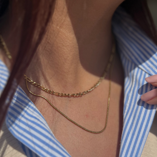 Cartier Double Layering Necklace