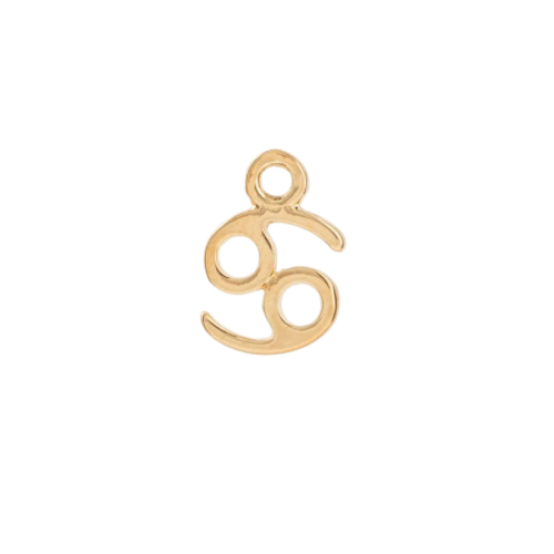 ZODIAC CHARM
