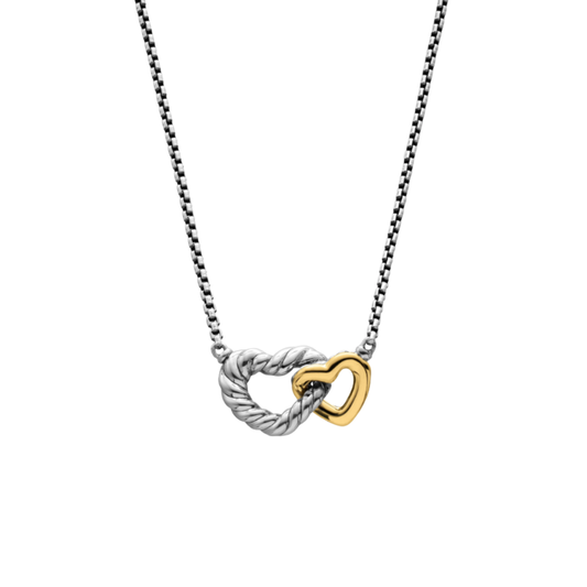 Silver dual love necklace