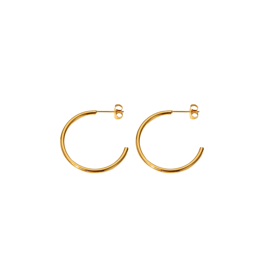 Classic Delicate Golden Earrings