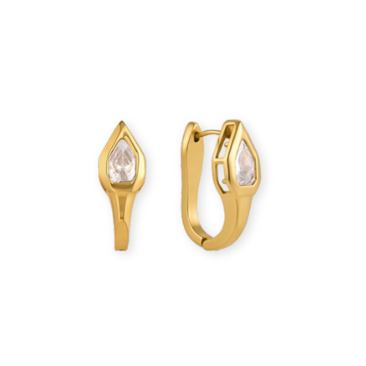 Golden Hoops Snake
