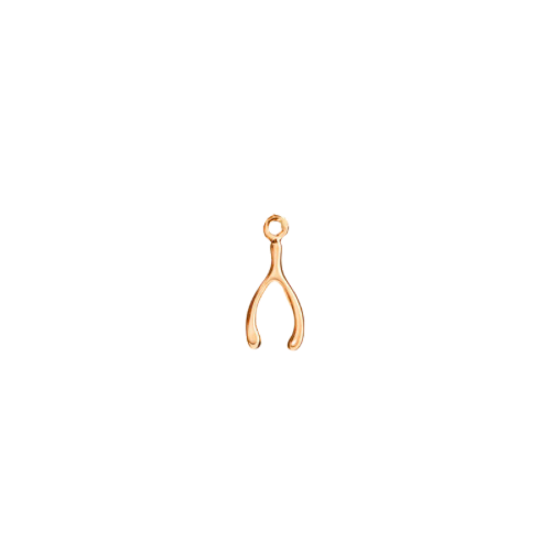 WISHBONE CHARM