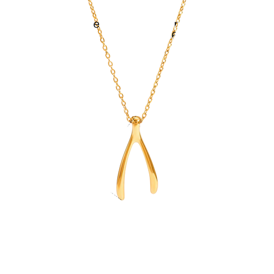 Golden Necklace Wishbone