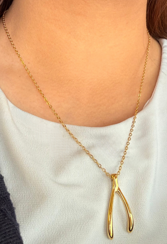 Golden Necklace Wishbone