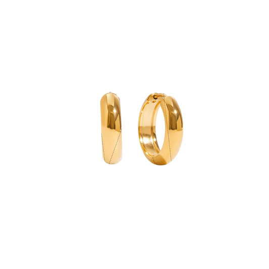 Small Golden Hoops