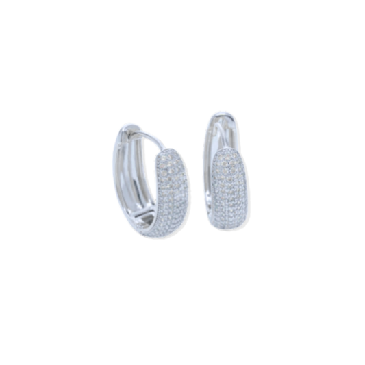 Karen Silver Hoops