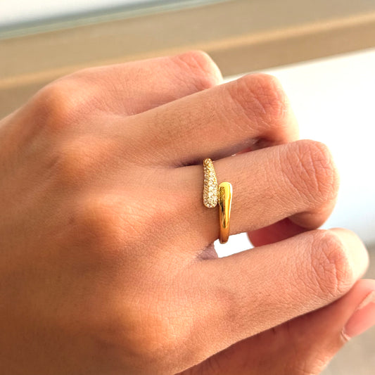 Golden Ring Snake
