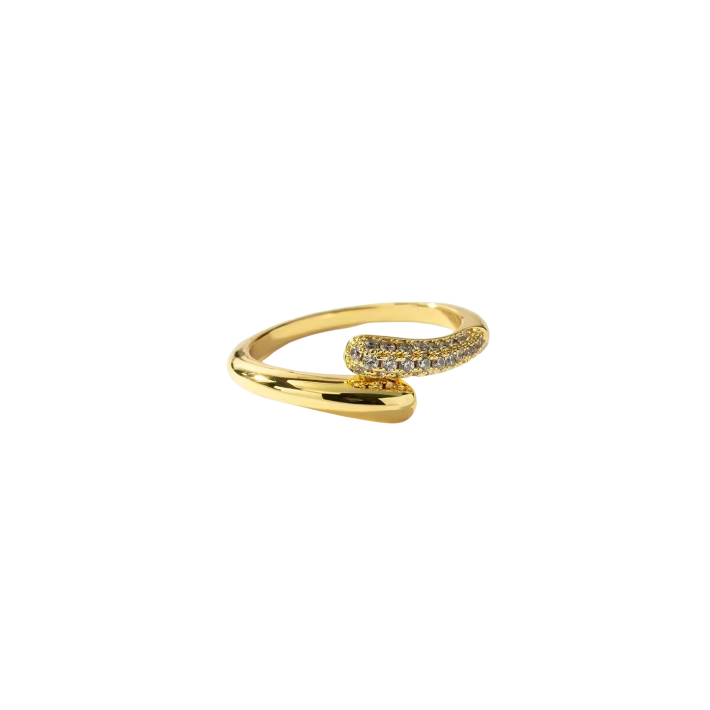 Golden Ring Snake