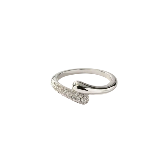 Silver Ring Snake