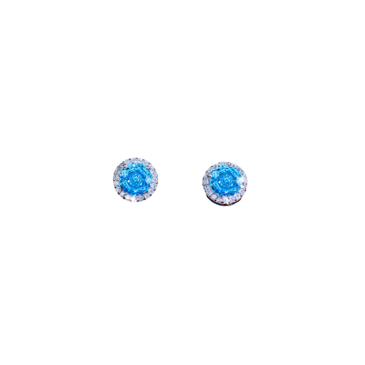 Sky Blue Silver Earrings