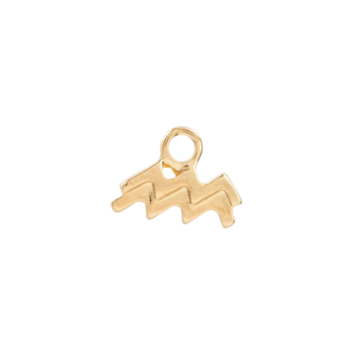 ZODIAC CHARM