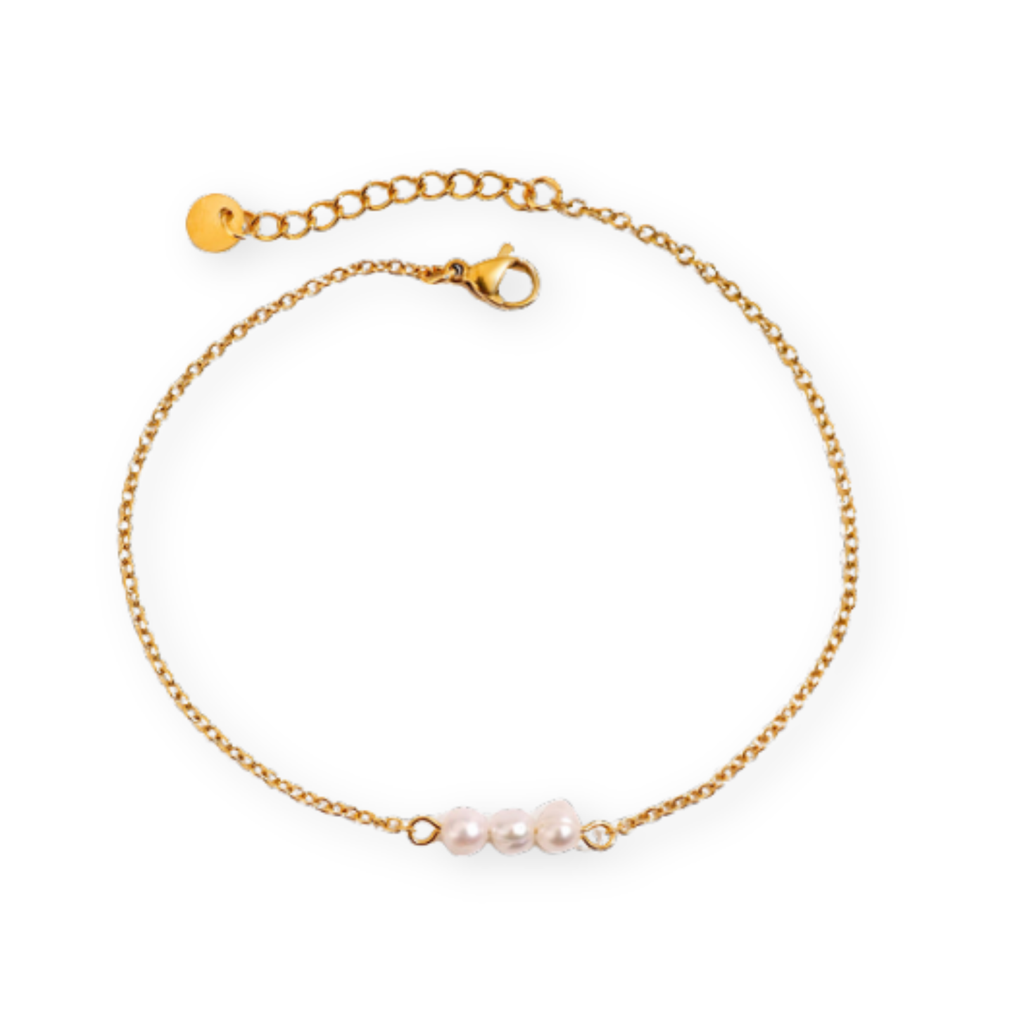 Liam Golden Anklet