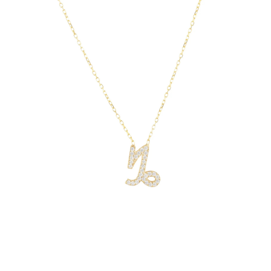 Capricorn Necklace