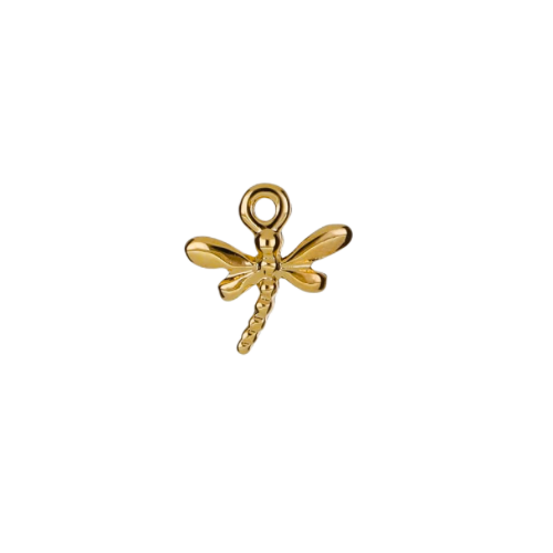 DRAGONFLY CHARM