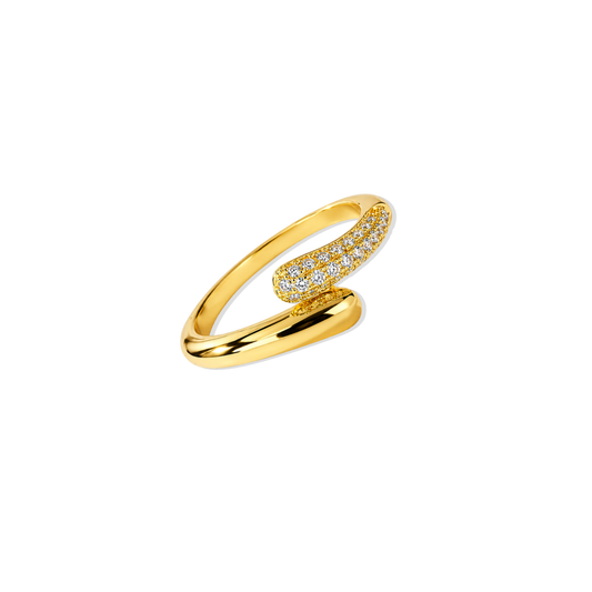 Golden Ring Snake
