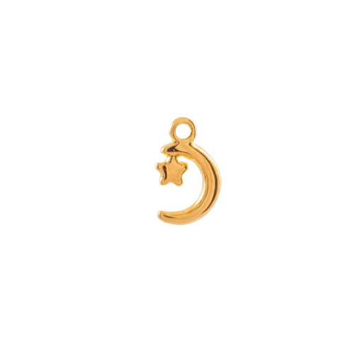 MOON & SMALL STAR CHARM