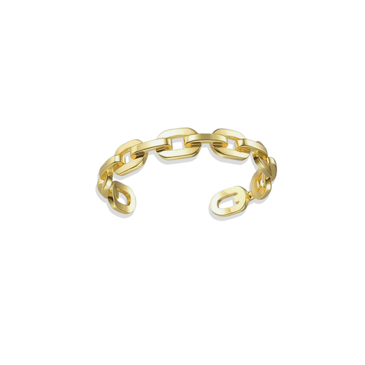 Large Link Gold Bracelet