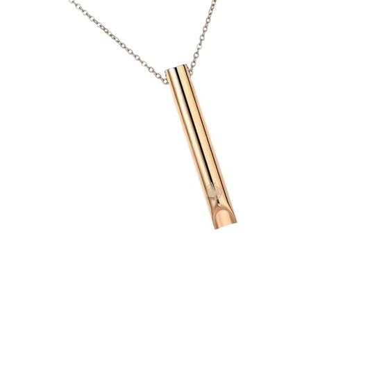 Golden Whistle Necklace