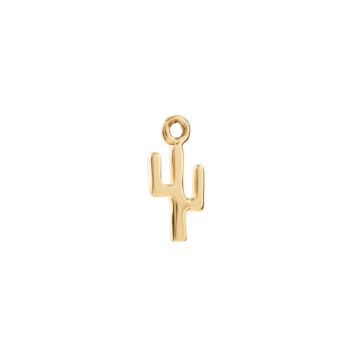 CACTUS CHARM