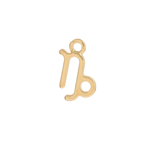 ZODIAC CHARM